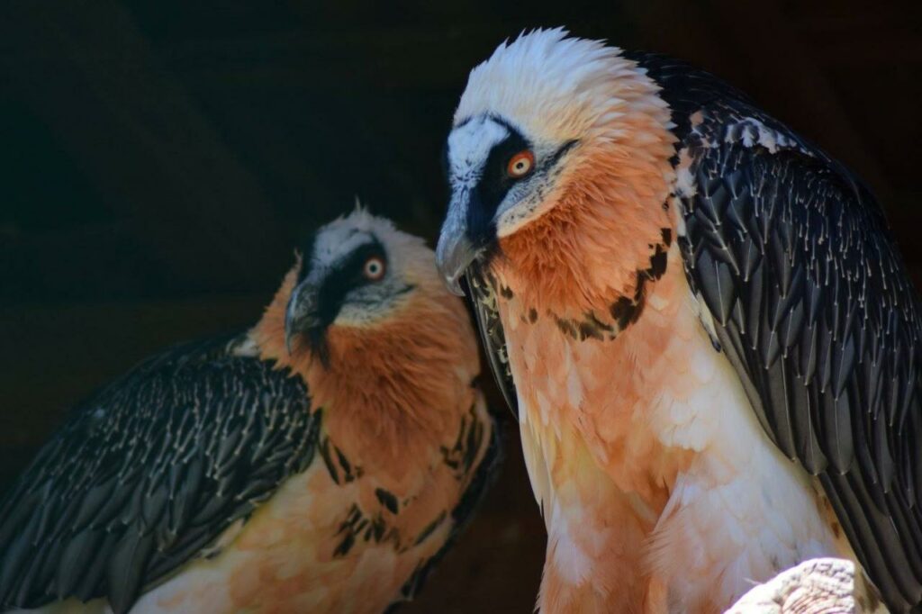 648301576 10242495000781110 2493354609472661907 n